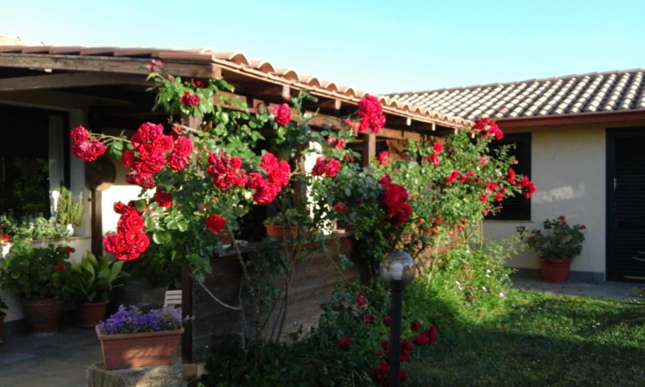 B&B Is Camminantis Nurallào Dış mekan fotoğraf